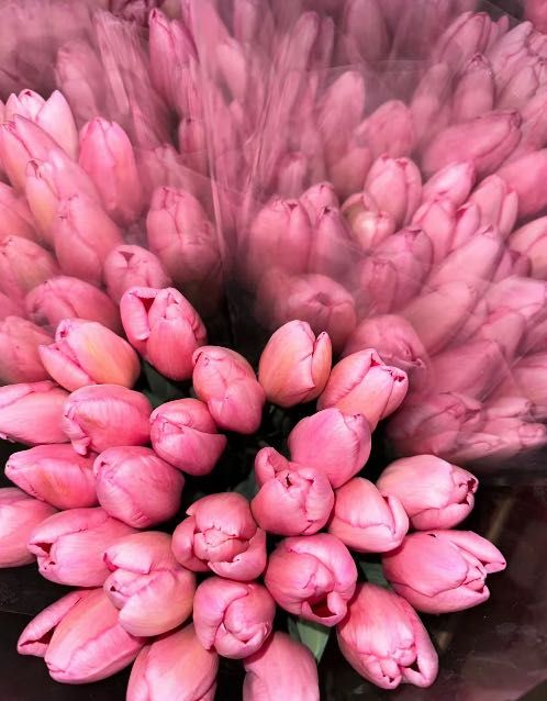 Тюльпани з швидкою доставкою по Україн