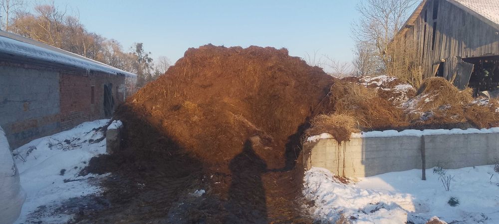 Sprzedam lub zamienię obornik bydlęcy