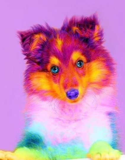 Картина по номерам красками 20*30