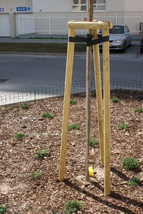 Paliki drewniane do stabilizacji drzew do nasadzeń transport 4x250cm