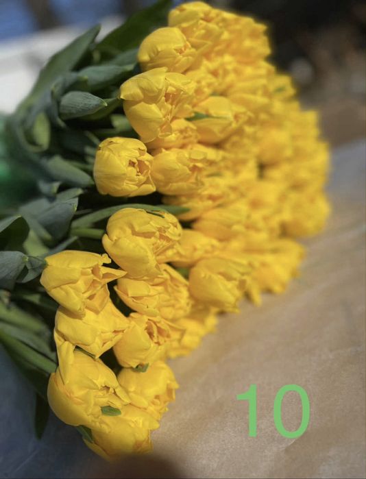 Тюльпан ОПТ до 14 лютого