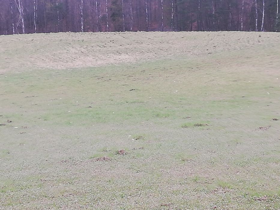 Działki siedliskowe I rekreacyjne Paraszyno  gm Łeczyce