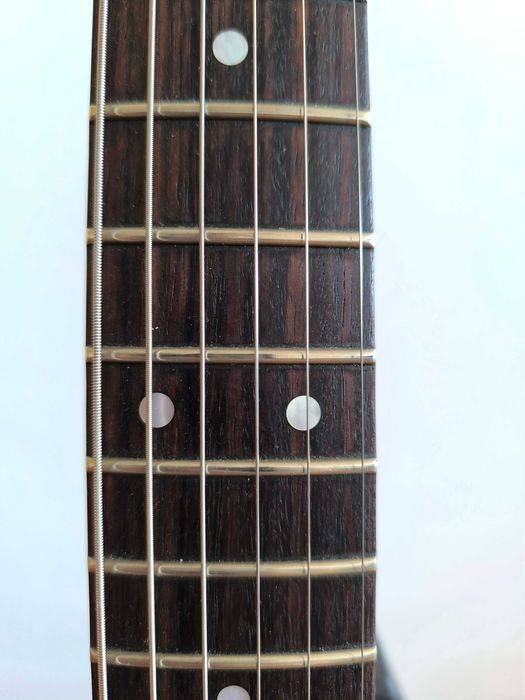 Custom Stratocaster Hardtail Reverse Dakota.
