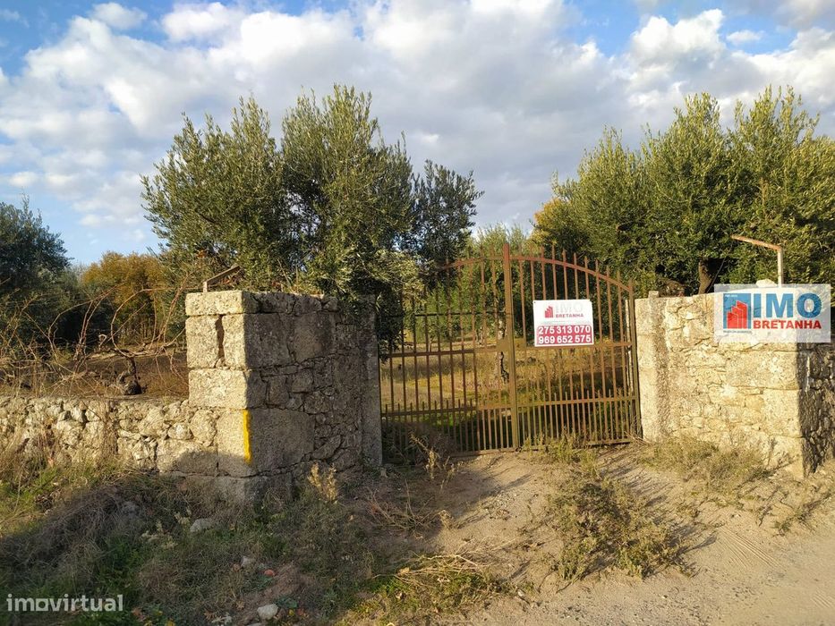 Country Estate - Near Fundão