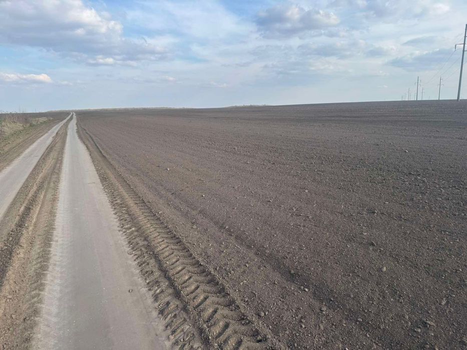 Продам пай 2.2 га в Колоденці є доїзд. Місцевість рівнинна