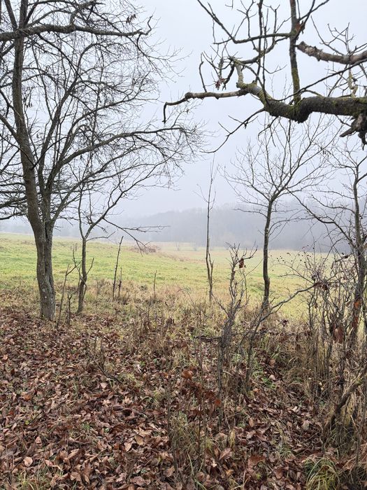 Будинок з великою ділянкою Косів