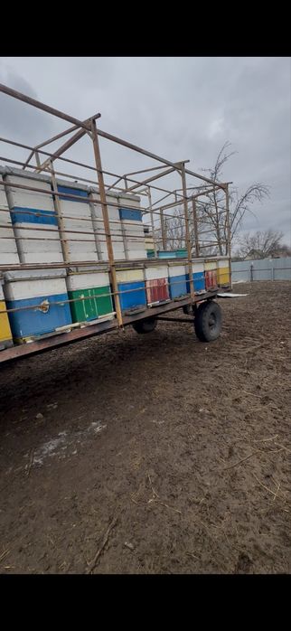 Бджоловіз. Пчелопавильйон. Прицеп для перевозки пчёл.