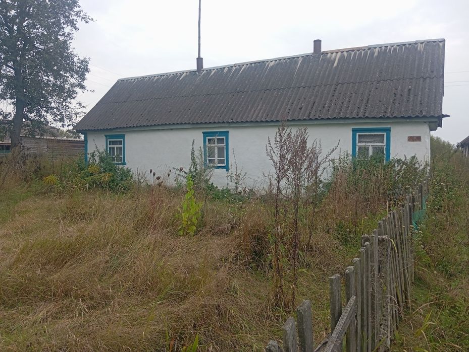 продається будинок в селі сімаківка