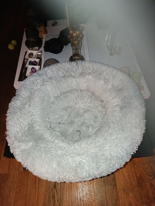 Cama pet em excelente estado