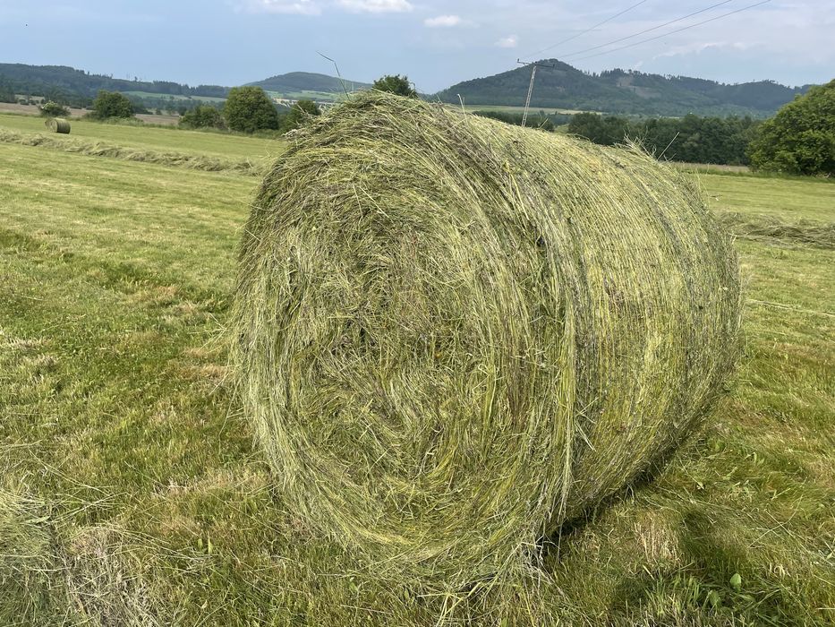 Siano baloty: hala. Sianokiszonka