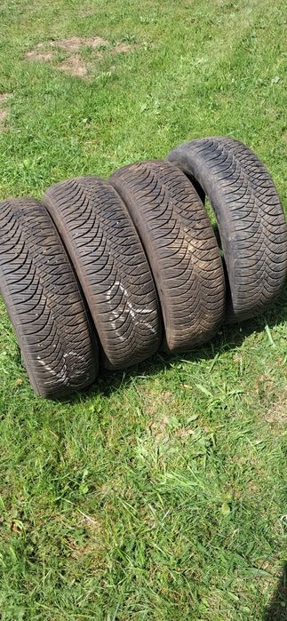 Opony 205/60R16 Goodride Caloroczne