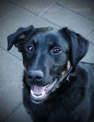 Wierna i mądra Ali 10 lat