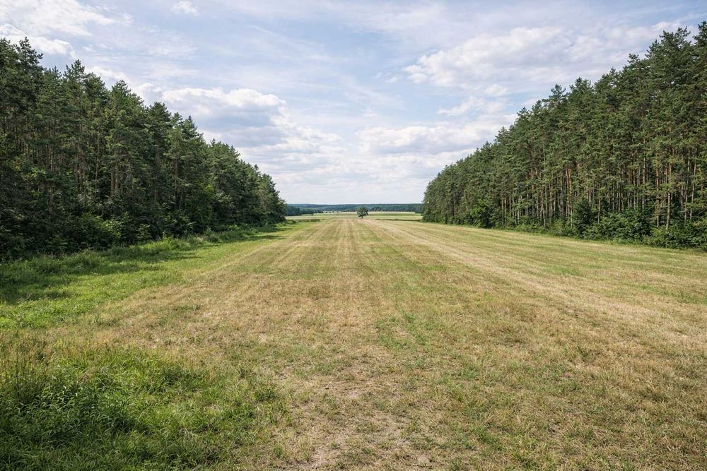 Działka siedliskowa Suntago Wycześniak Żyrardów Mszczonów