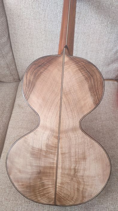 Viola Campaniça de coleção
