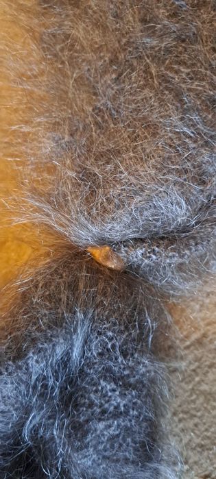 Пухова хустина оренбурзька