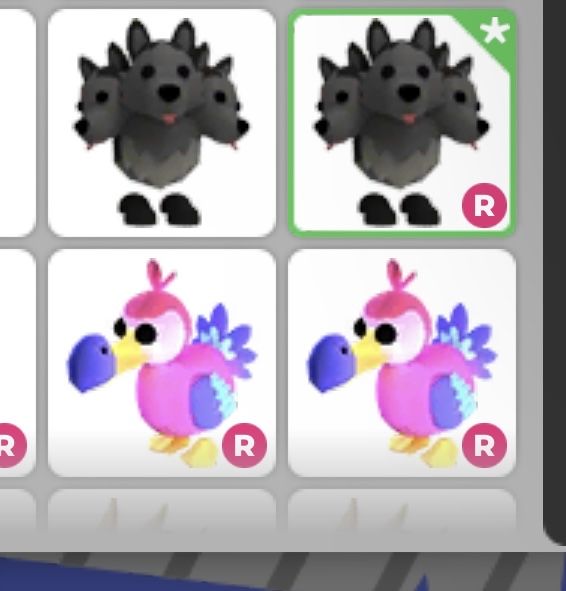 Продаю петов адопт ми