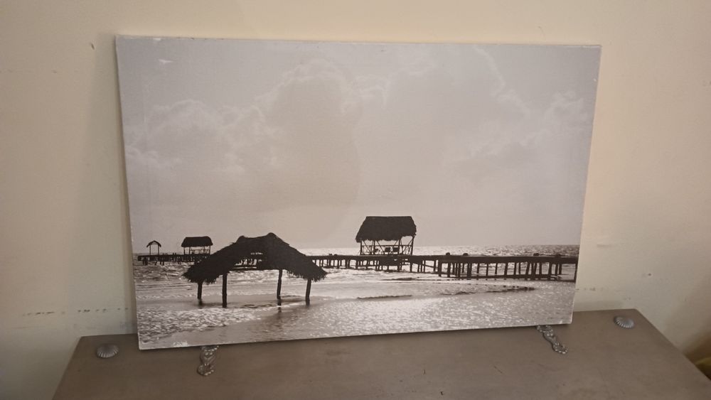 4 quadros novos de t