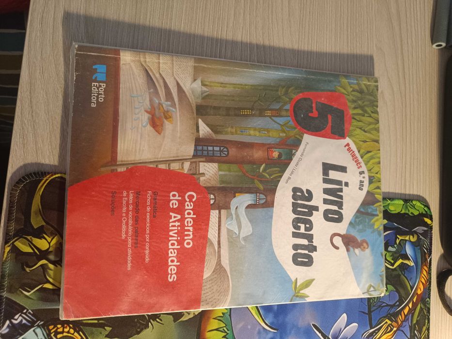 Manuais e livros fichas 5 ano