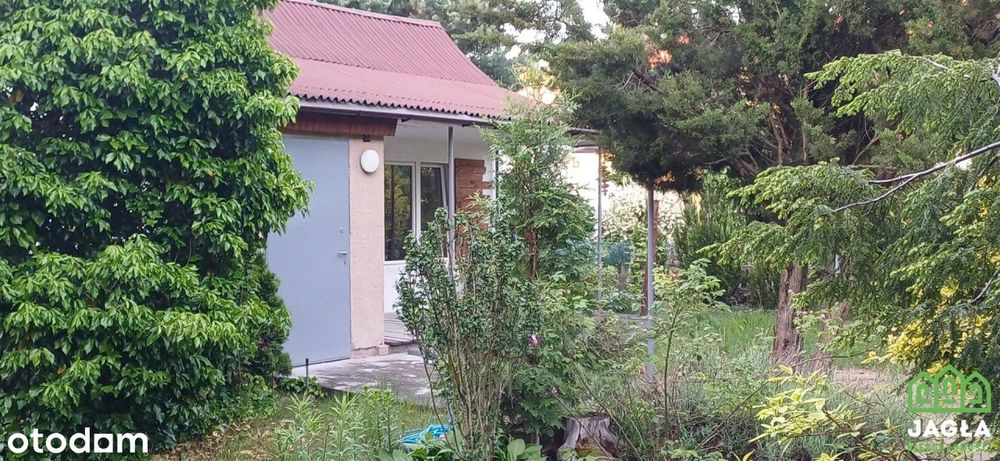 Białe Błota działka z możliwością zamieszkania!
