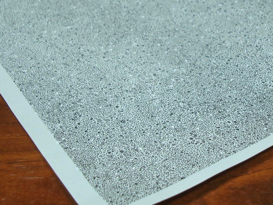 Superquick H0 D7 - Folha Decorativa / Novo