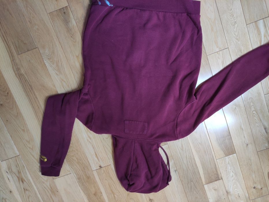 Bluza z kapturem Harry Potter , house roz.s , 164