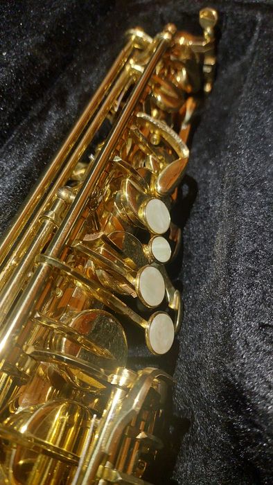 Saxofone Alto J. Michael  Al-500