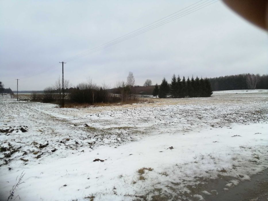działka budowlana w Oleśnicy gmina Wodynie