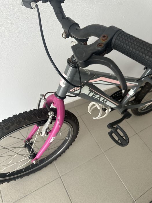 Bicicleta Criança Team X-Trail 20” com rodas de apoio - rosa e cinza