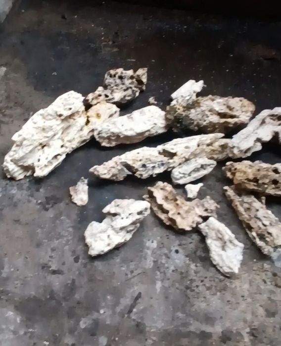 Udrażnianie kanalizacji, WUKO