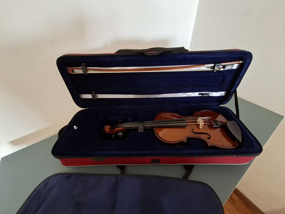 Viola D'Arco Stentor