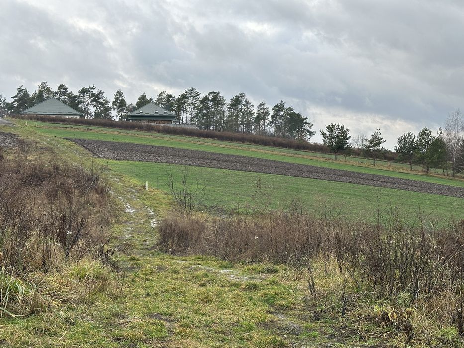 Продаж земельноі ділянки 25 сот Панський масив