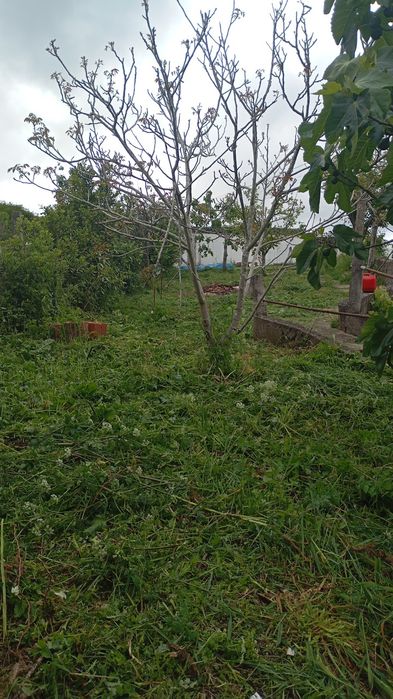 Limpeza de terrenos orçamentos grátis