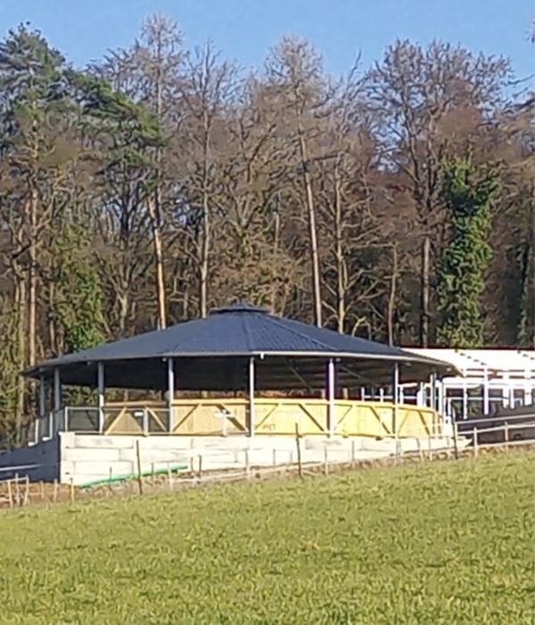 Lonżownik dla koni.