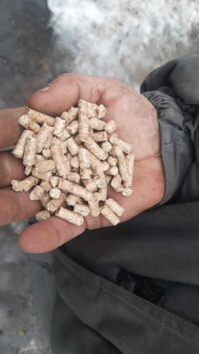 Деревна пелета А1 Буча ICOAL Швидка доставка і самовивіз