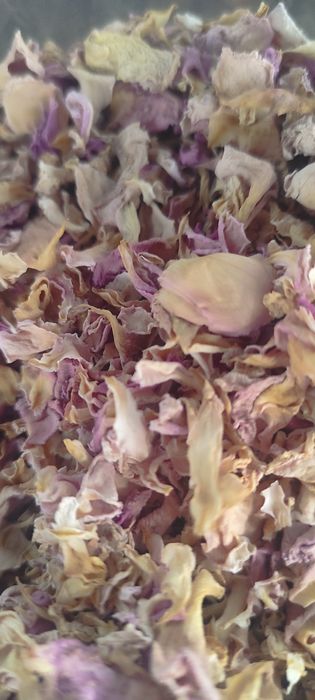 Пелюстки чайної троянди. Є свіжі й сушені