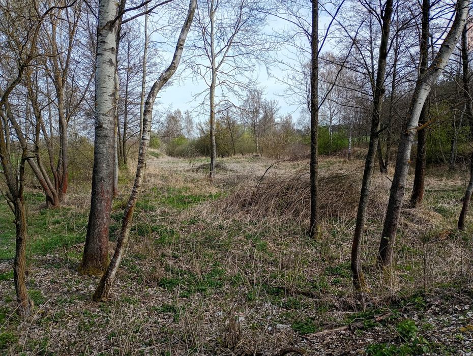 Łąka Bieliki sprzedam