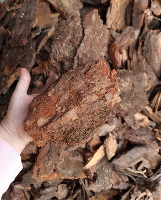 Kora sosnowa gruba,  Średnia, drobna, ręcznie sortowana