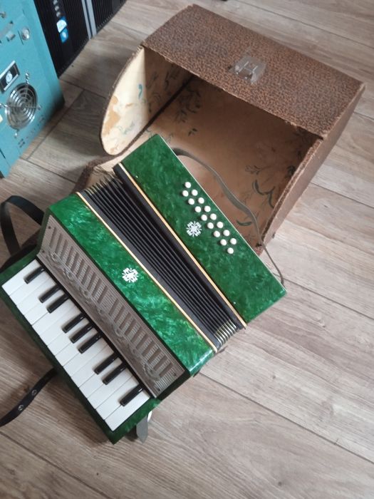 Akordeon dla dziecka z walizka
