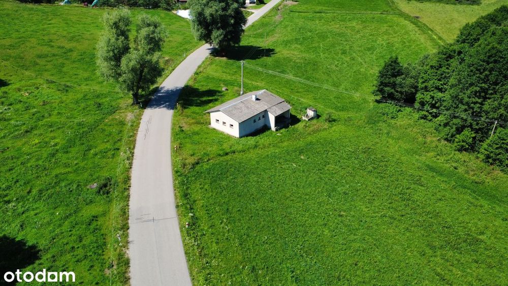 Zdjęcie 6