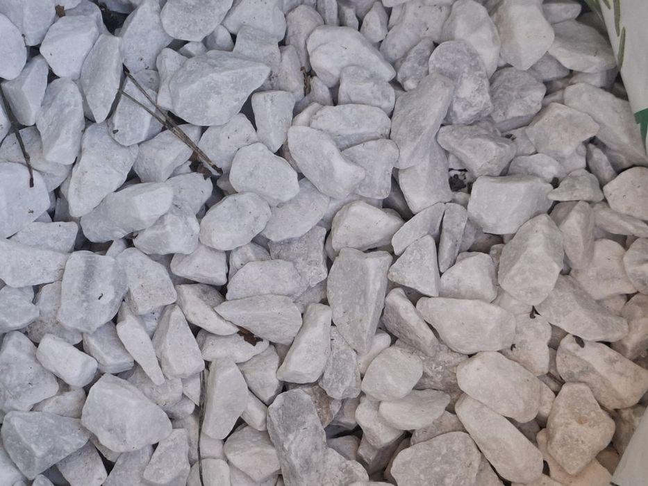 Grys bianco carrera naprawdę biały 16-21mm