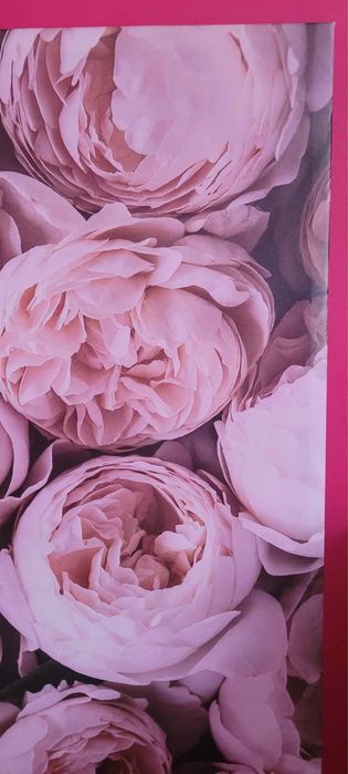 Obraz na płótnie  140x56