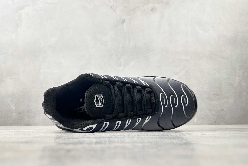 Air_Max_TN_Plus 41