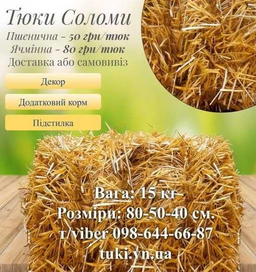 Ячмінна ячна солома в тюках тюки ячмінки обмолот 2025 р