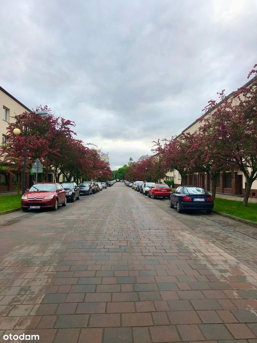 Art Deco z klimatem – ul. Narutowicza, 61 m² w sercu Stalowej Woli