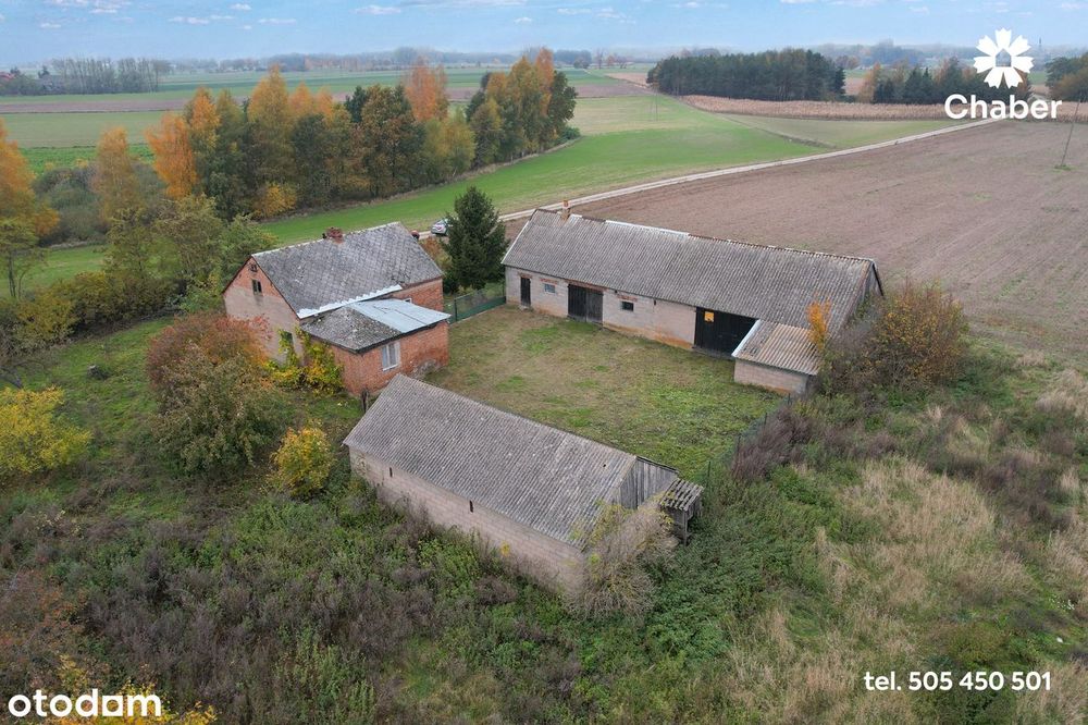 Siedlisko na Kujawach - działka 3007 m2