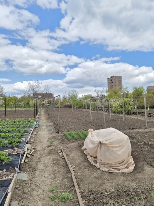 Продам ВЕЛИКИЙ будинок з ВЕЛИКОЮ ділянкою на Євроколесі.