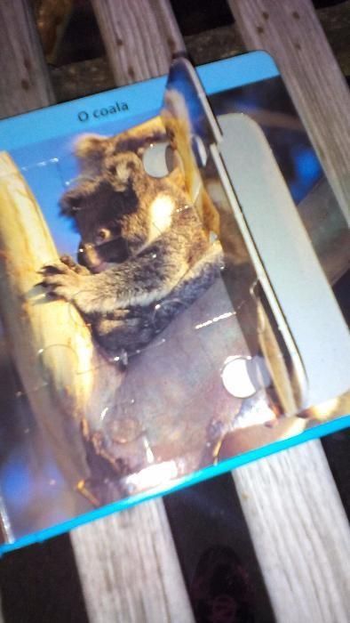 Livro de Animais Puzzle