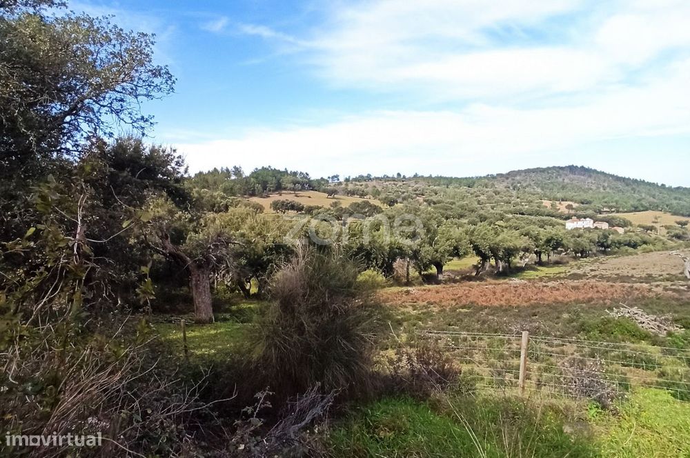 Prédio em Galegos a 15 minutos de Marvão e a 2 minutos de Espanha