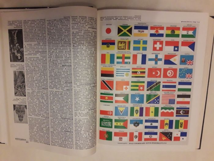 Украинская Советская Энциклопедия. Энциклопедия домашнего хозяйства.