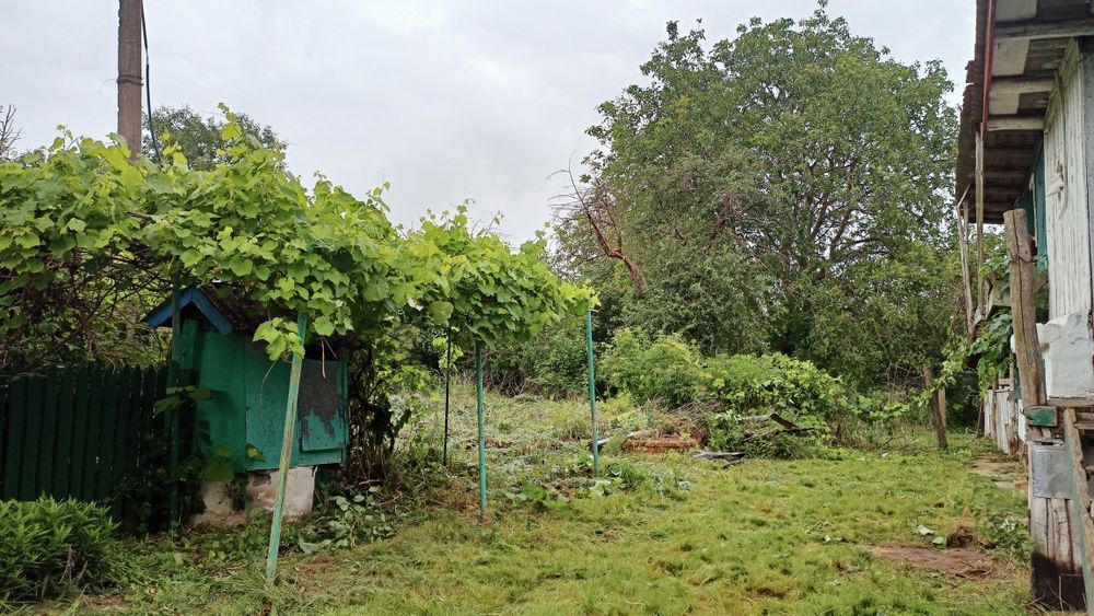 Земля с. Наливайківка